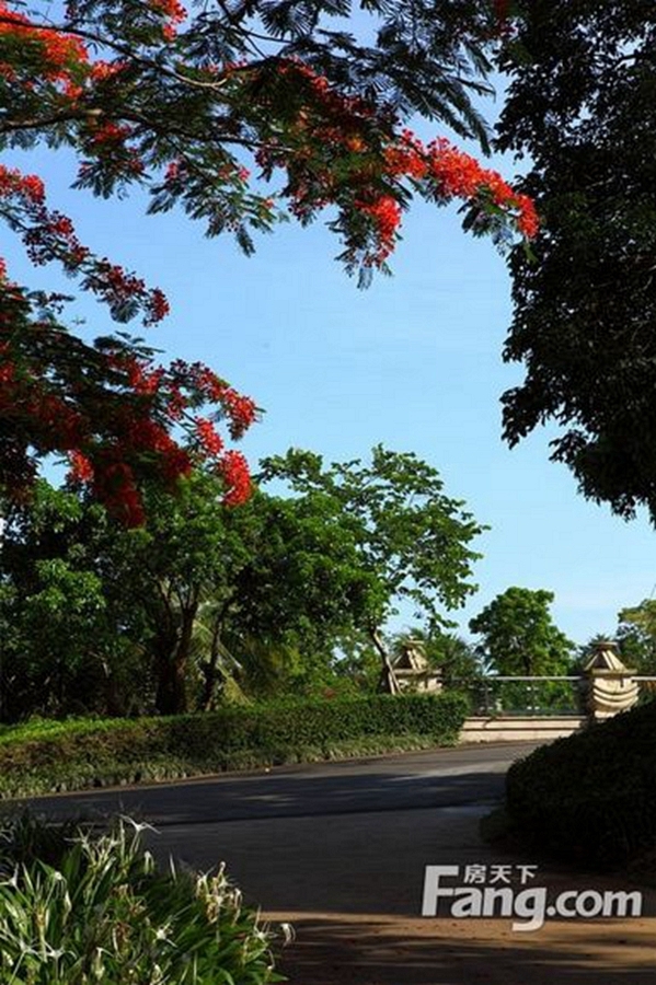 宝莲城