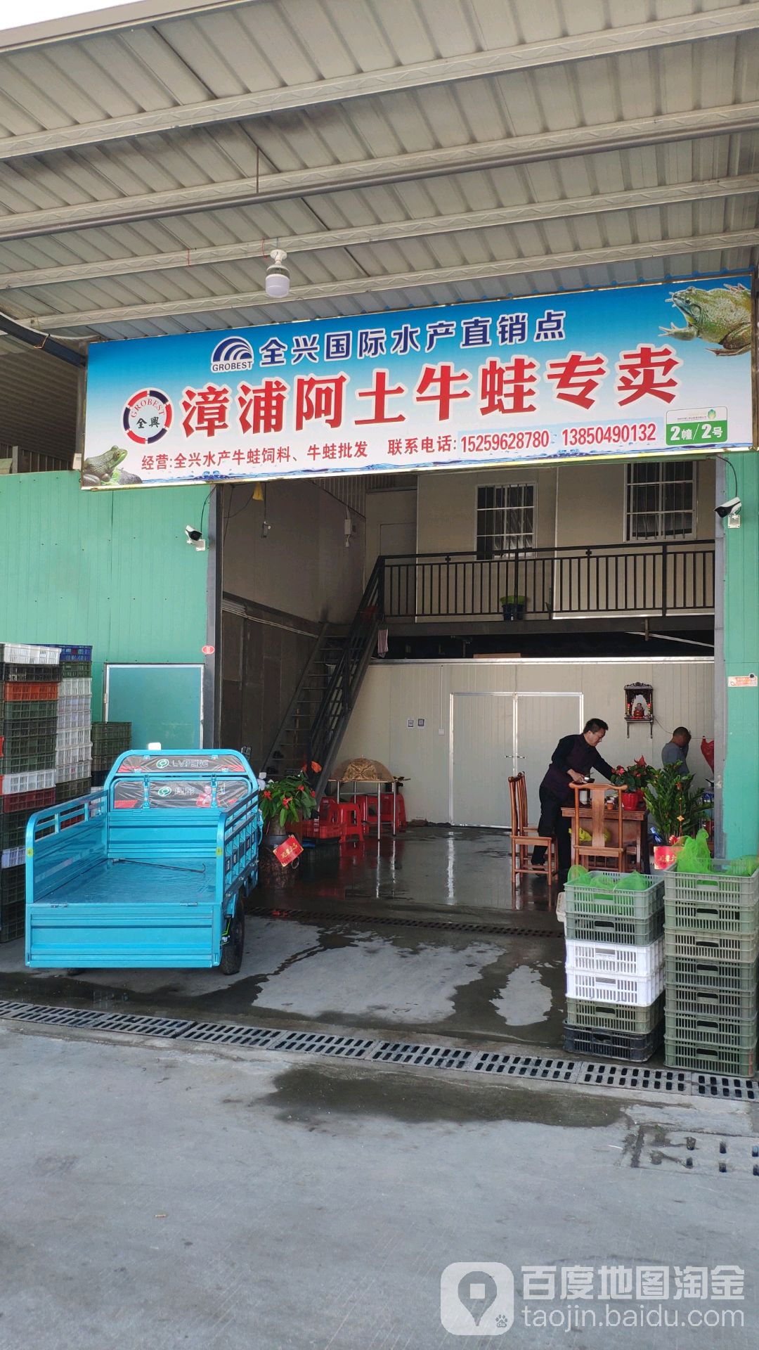 阿土牛蛙黑鱼