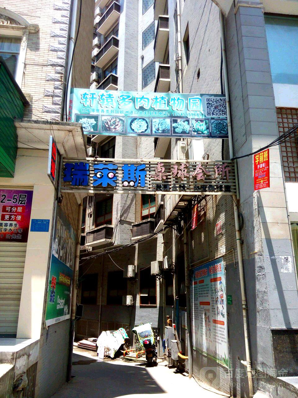 轩辕多肉w植物园