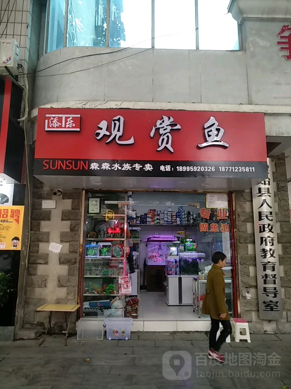 添乐观赏鱼