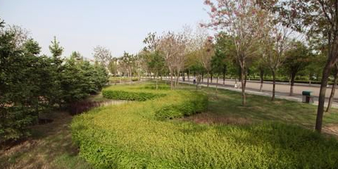 人民公园