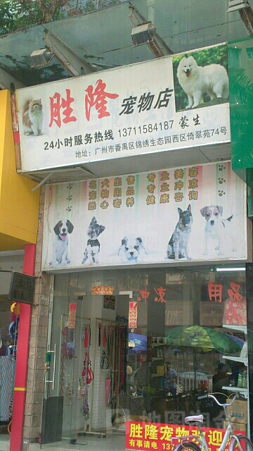 胜隆宠物店