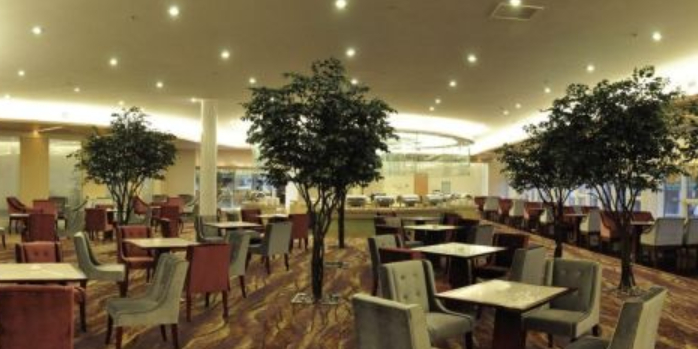太阳谷微排国际酒店-自助餐