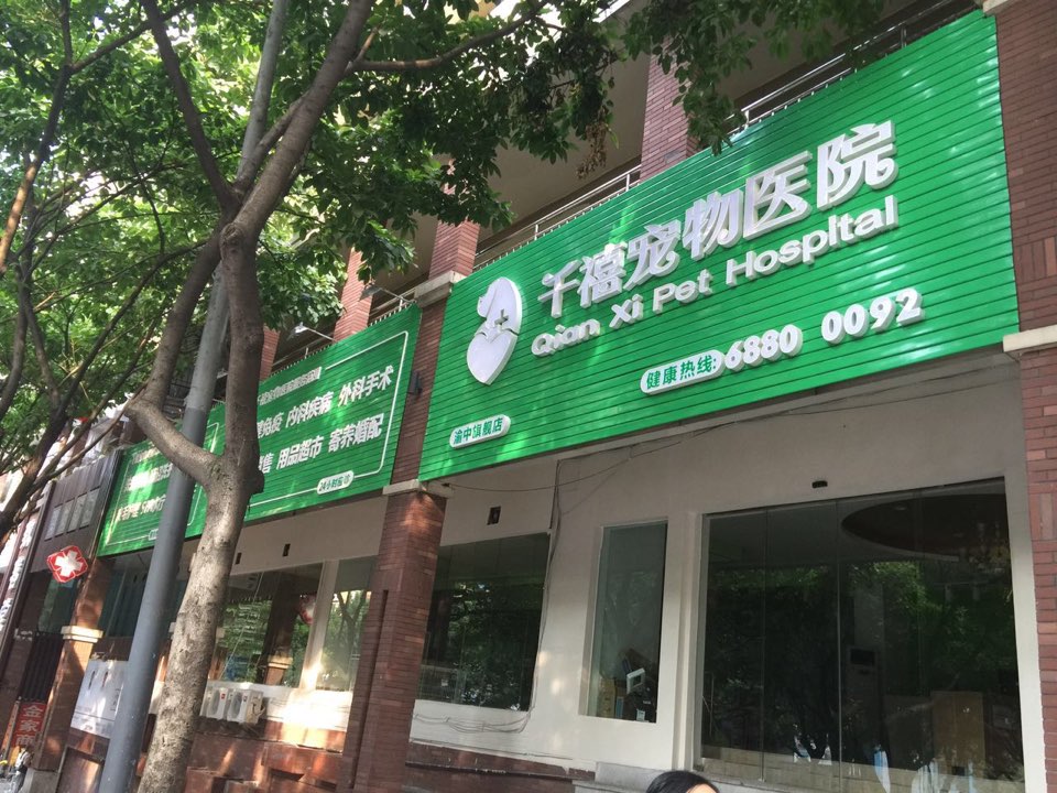 千石宠物医院(渝中旗舰店)