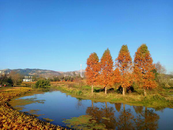 汇龙湿地公园