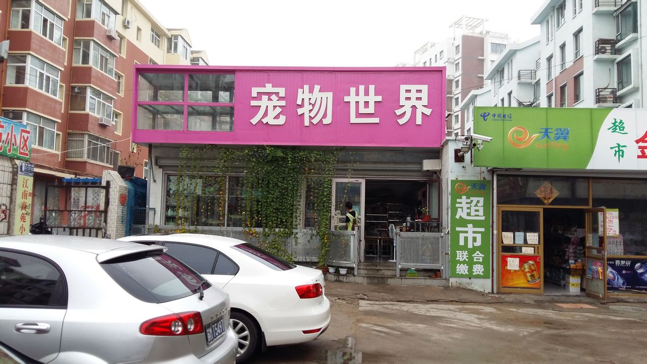 宠物世界(万寿街店)