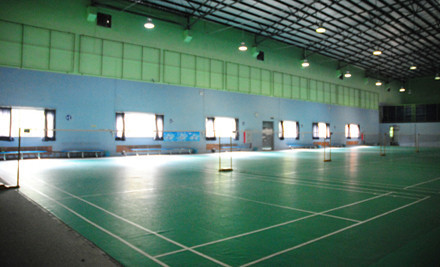 振羽羽毛球俱乐部