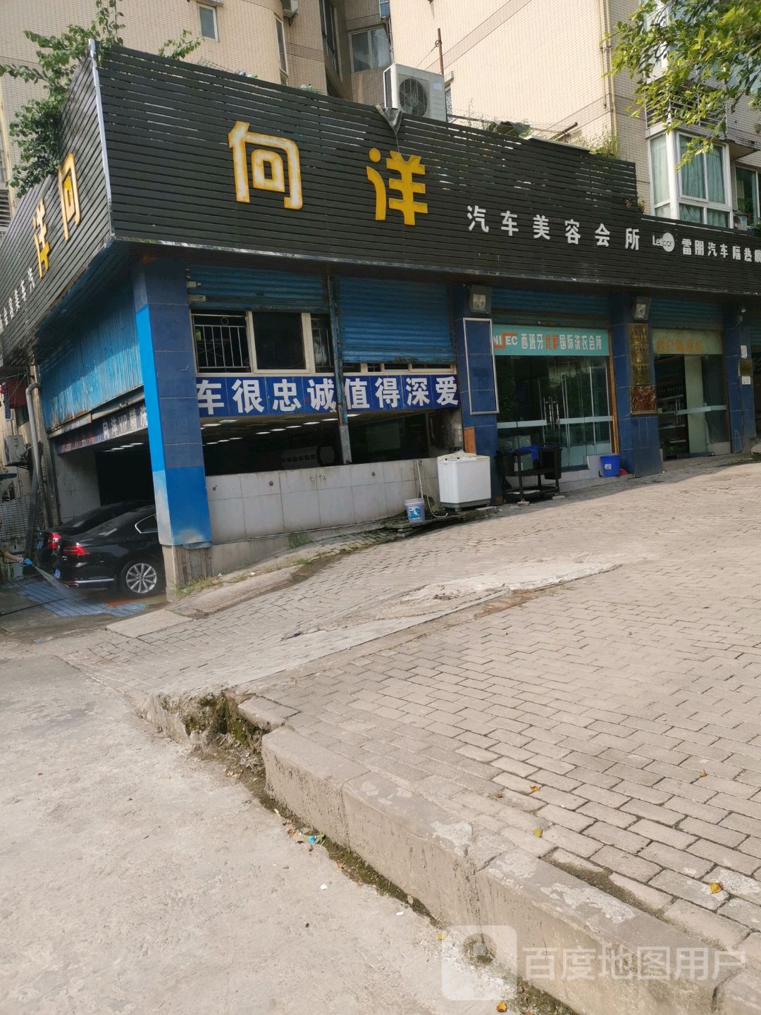 向洋