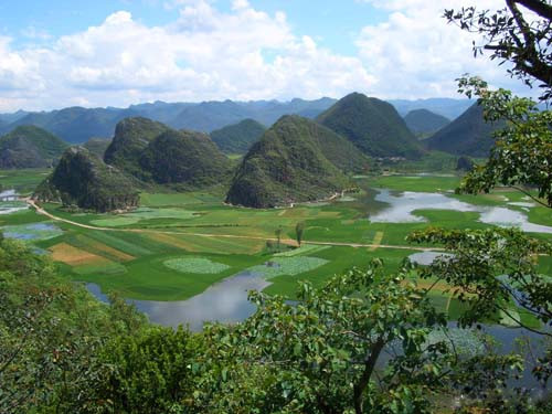 普者黑天鹅湖-观景亭