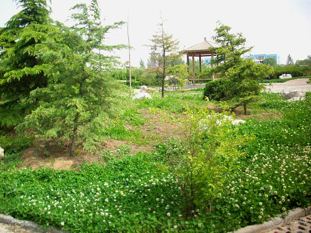 土马河湿地公园