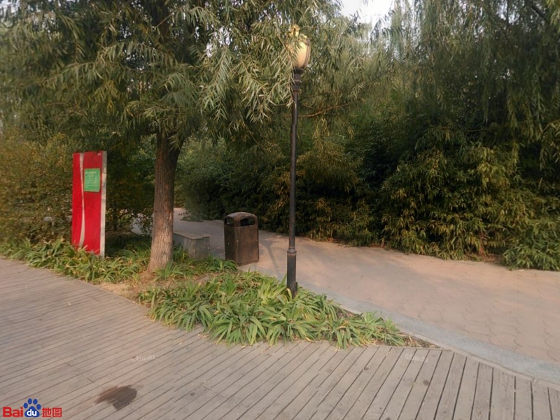 莲花公园