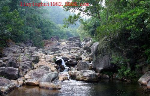 王岗山风景区