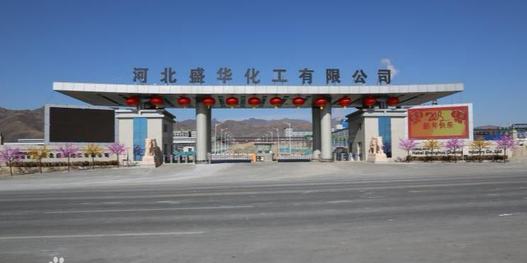 河北胜华化工有限公司