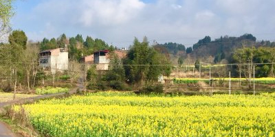 眉山市仁寿县邹胡村