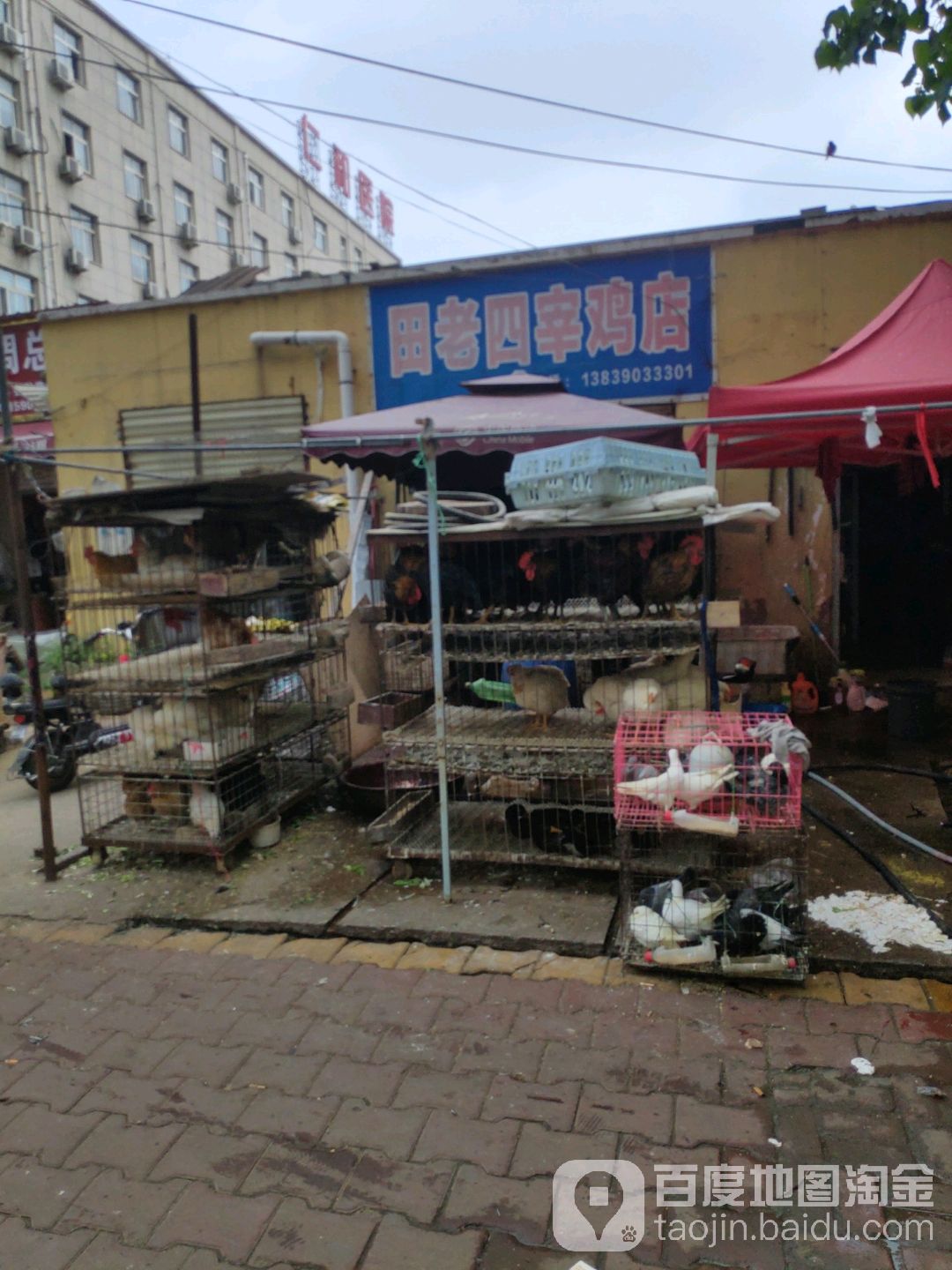 田老四杀鸡店