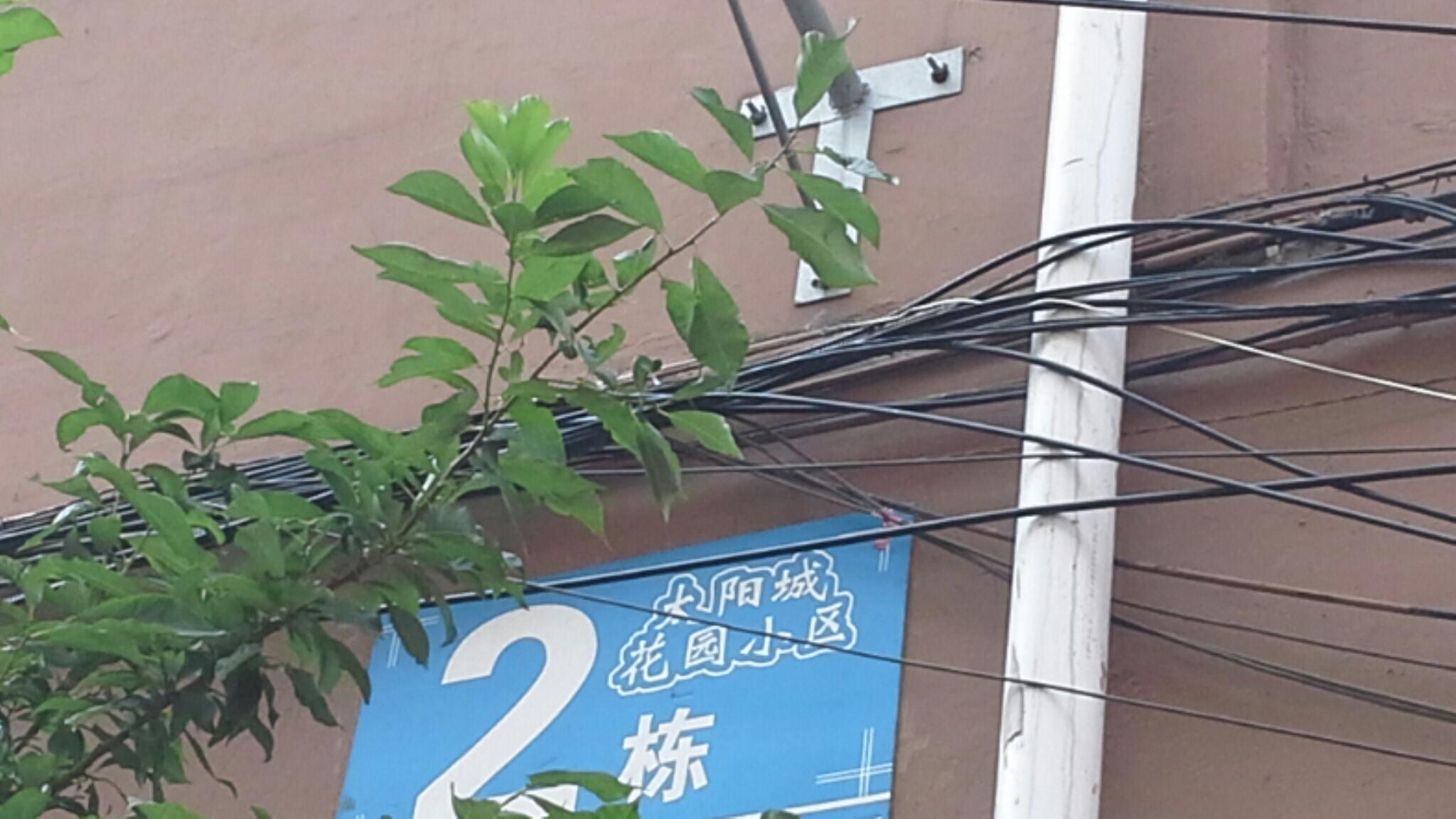 太阳花园小区-2号楼