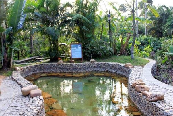 高峰温泉度假区