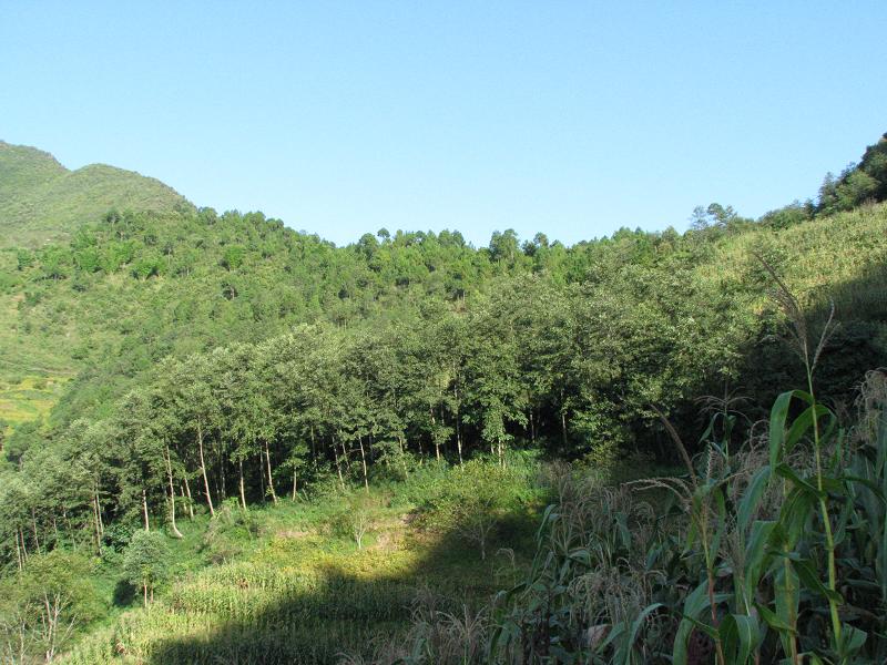 马蹄山村