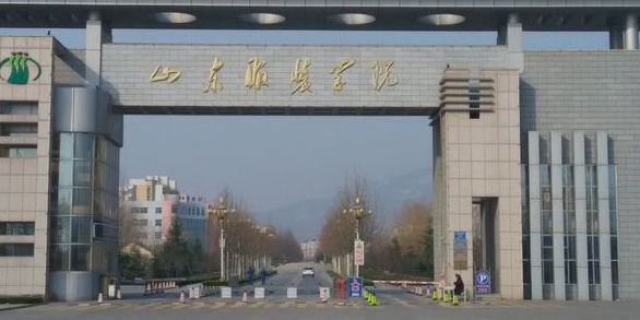 山东服装职业学院