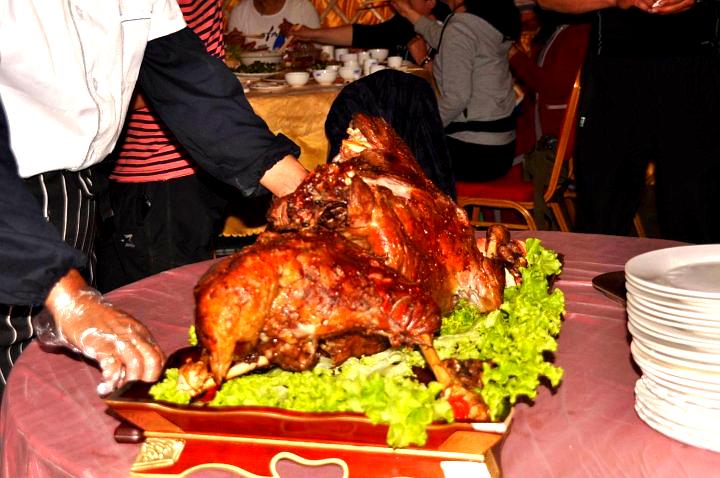 腾格里塔拉草原布落