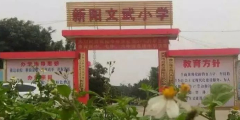 新阳文武小学