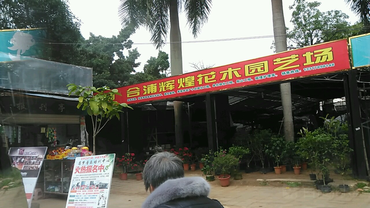 合浦辉煌花木园艺场