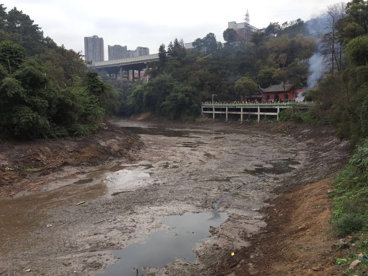 地址(位置,怎麼去,怎麼走): 重慶市九龍坡區華巖寺路東段