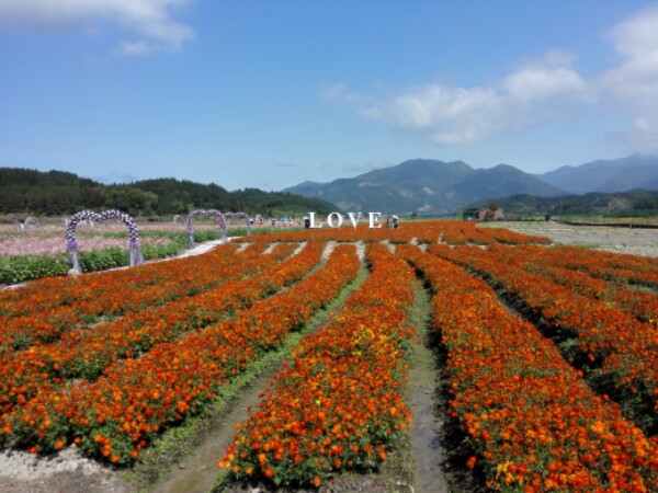 广东省清远市连州市丰阳镇朱岗村委会畔水村