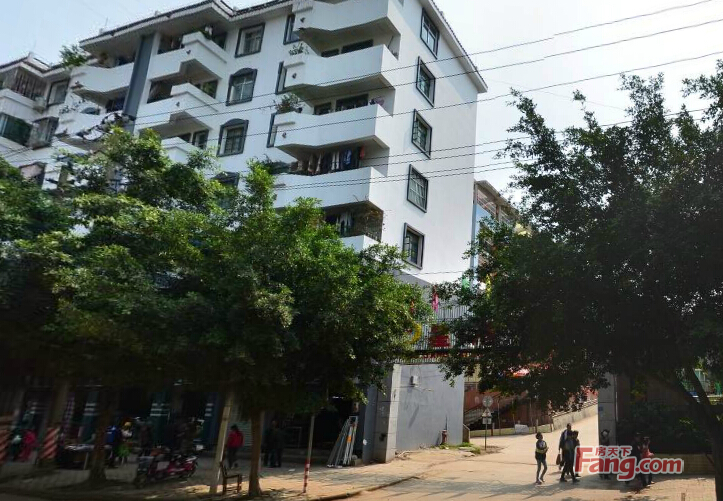 蒲庙新和平小区