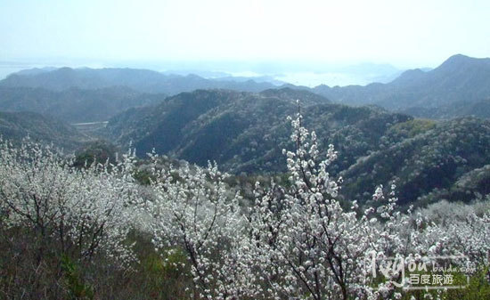 北京五棵座楼森林公园