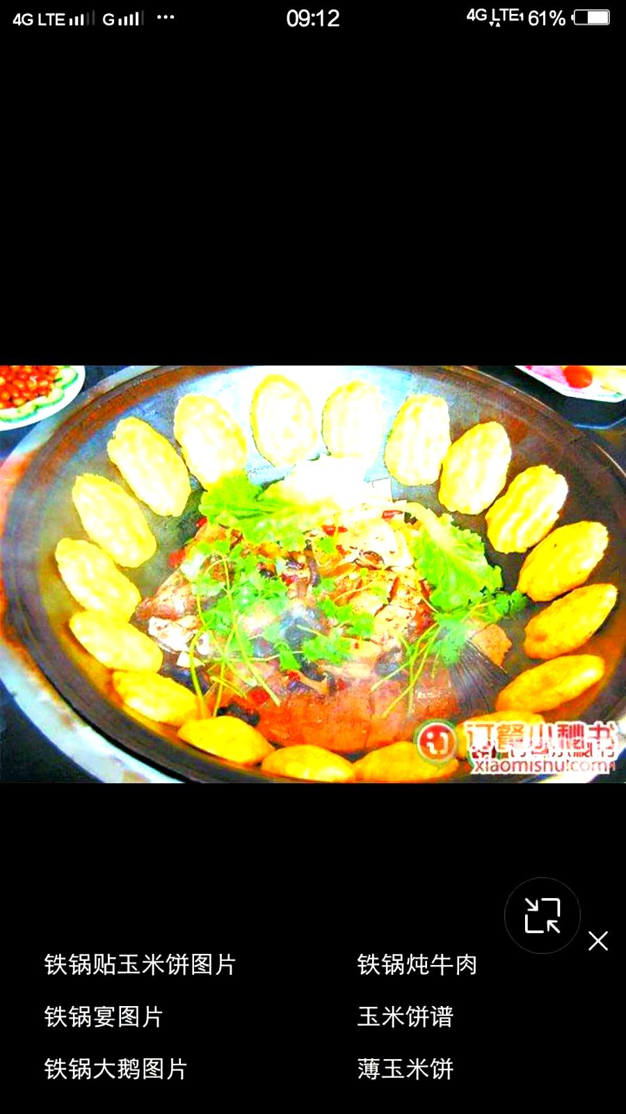 大东北靠山屯铁锅炖