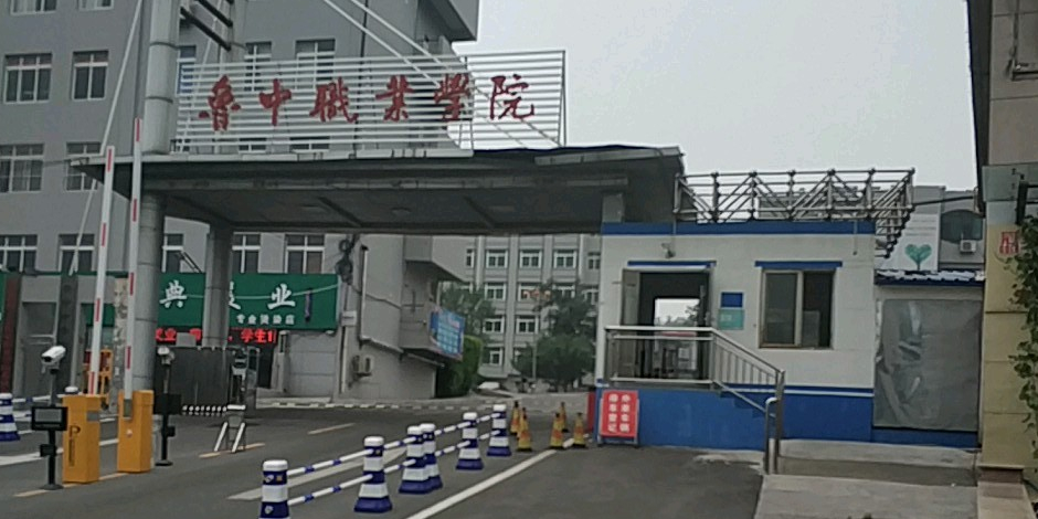 鲁中职业学院