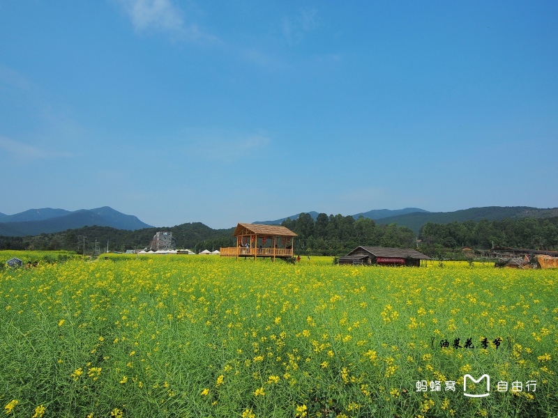 广东省佛山市高明区荷城街道西安冼村