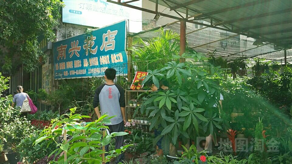 南兴花店