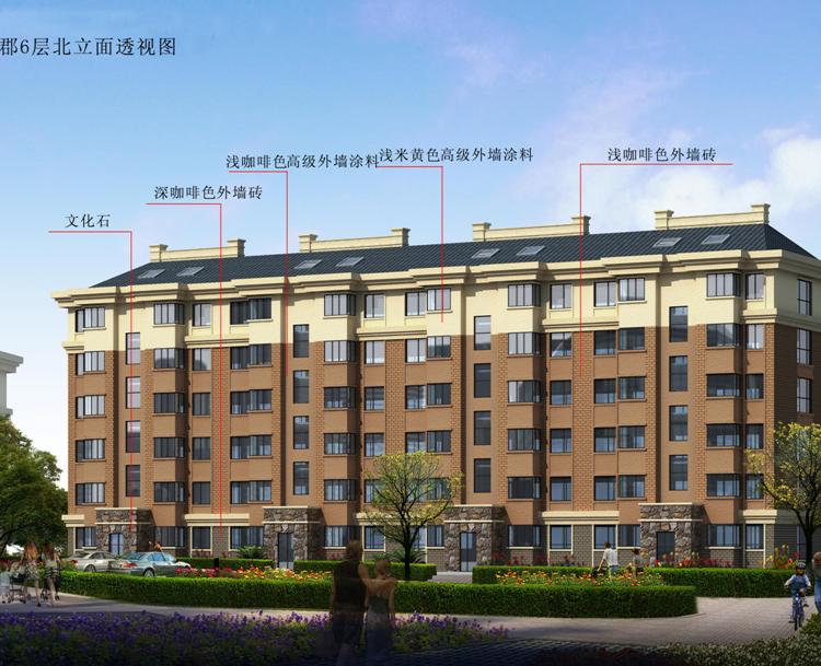 阳光金俊