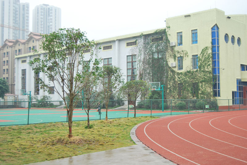 重庆文理学院附属中学校