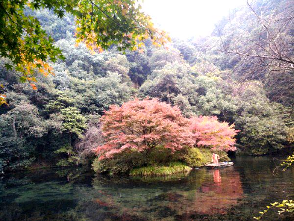 杭州市西湖区龙井村南九溪十八涧尽头(近九溪路)