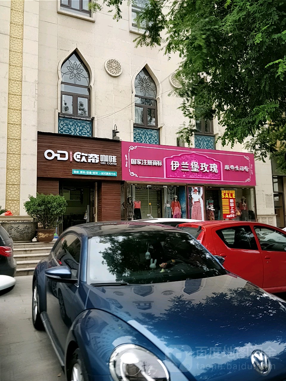 伊兰堡玫瑰