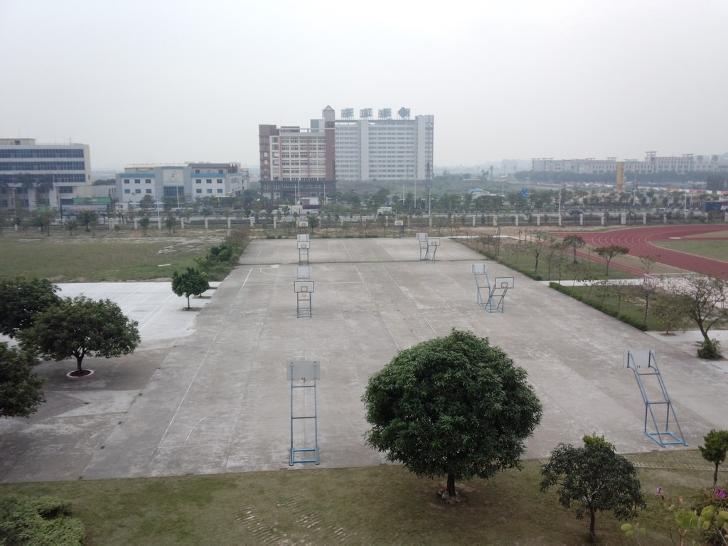 龙江中学顺德图片