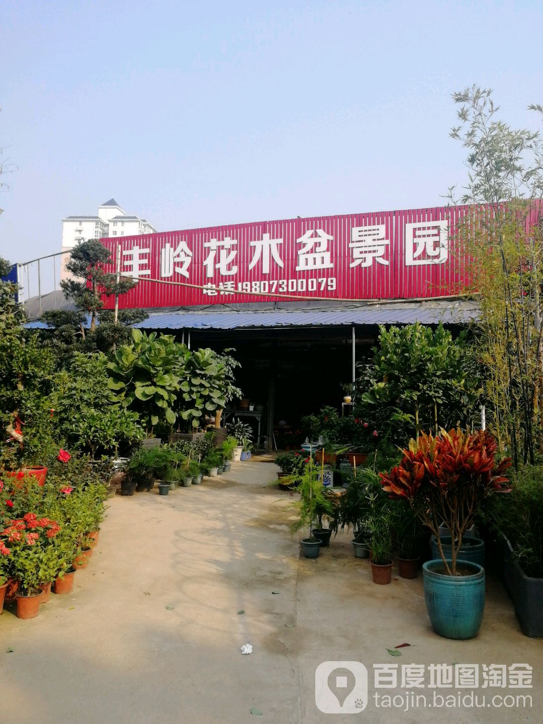 丰岭花木盆景园