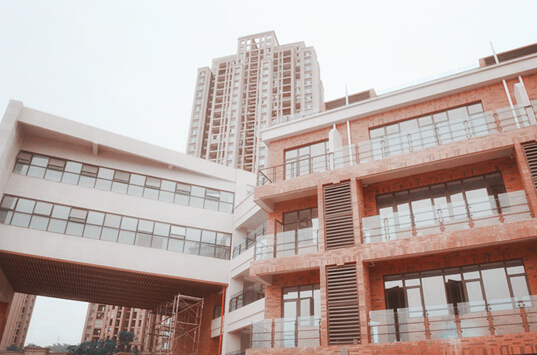 北大资源鲤鱼池小学校