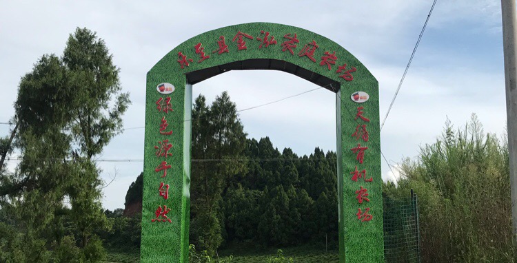 资阳市乐至县Y401龙门镇报国寺村4-7号