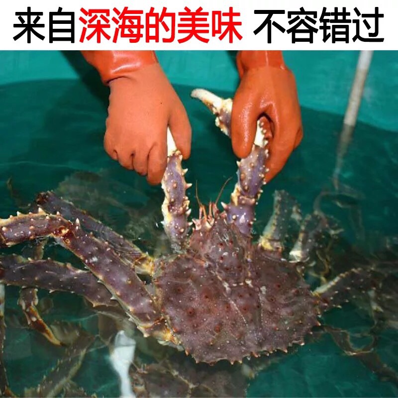 鑫源海鲜冻品商贸