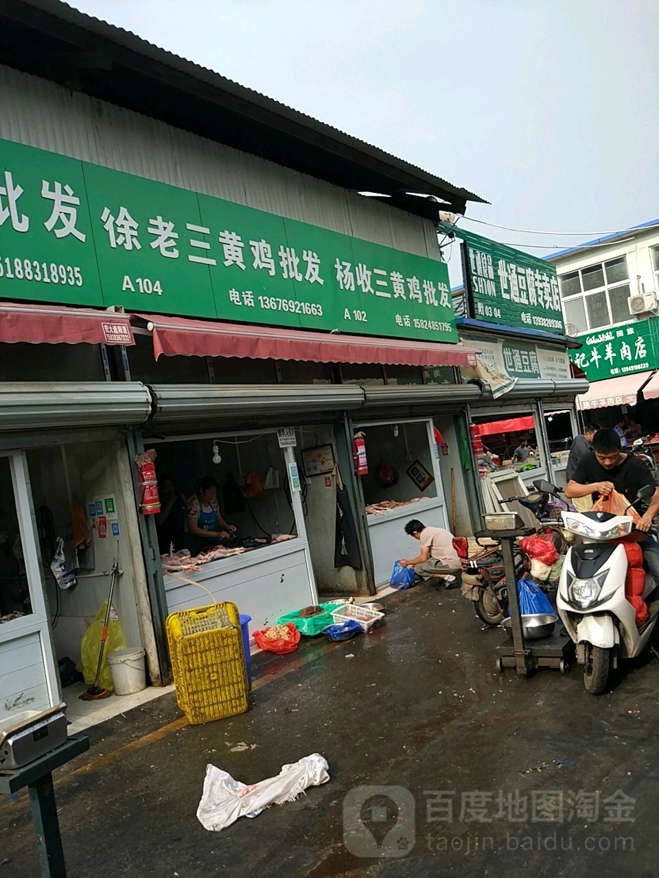 杨收三黄鸡批发