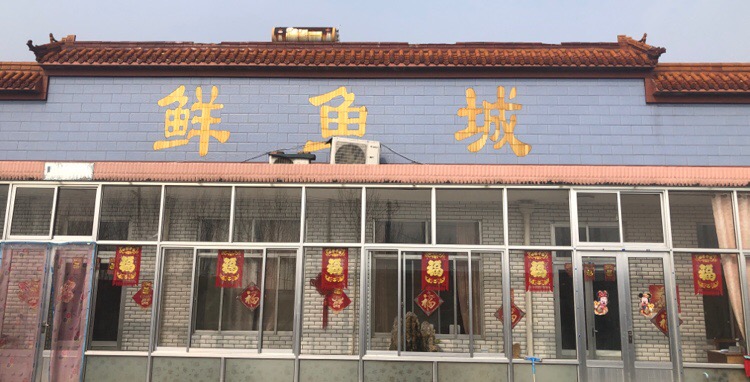 鲜鱼城批发市场