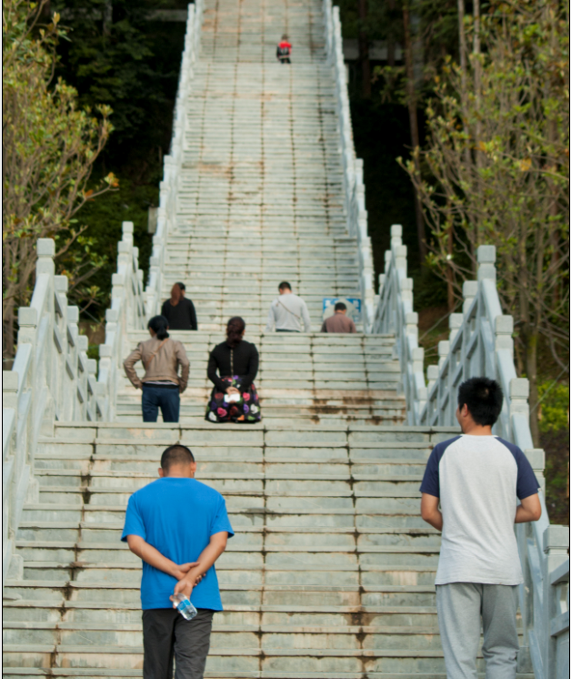 东坡森林公园