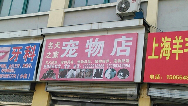 名犬之家宠物店