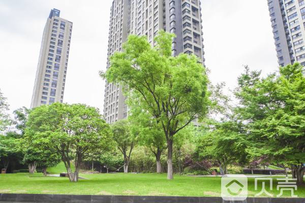 江苏省南京市建邺区河西中央商务区乐山路198号