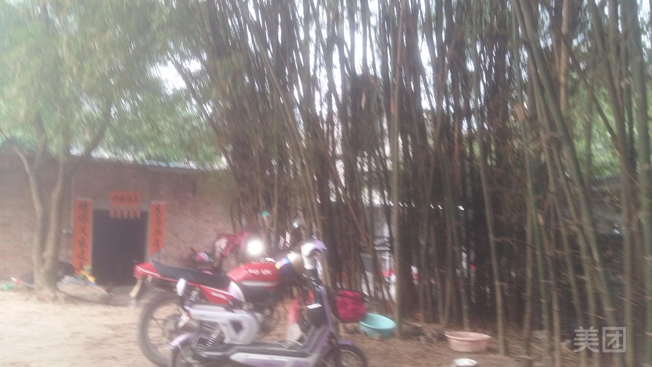 友好山庄
