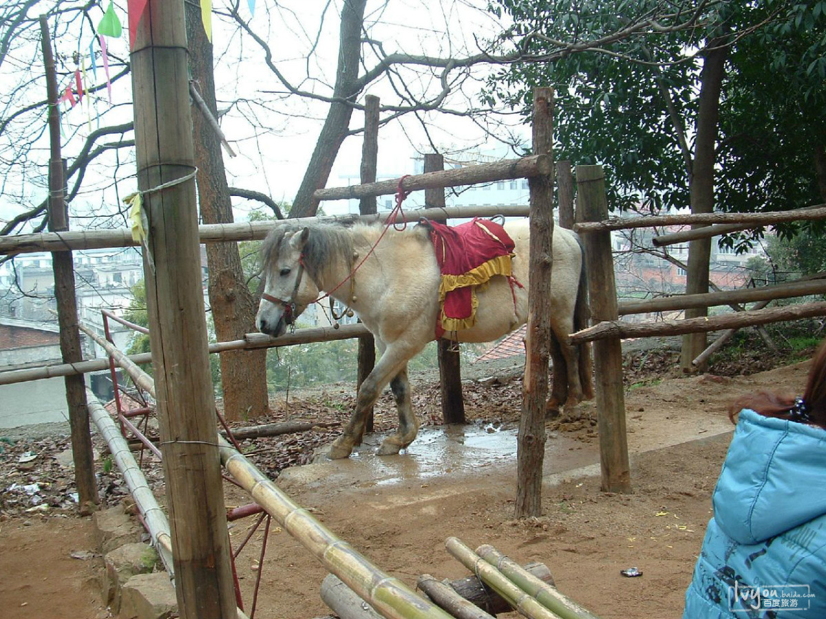 香吾山公园